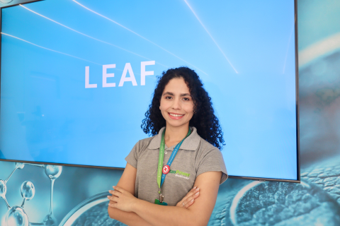 leaf brasil